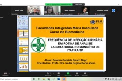 imagem1