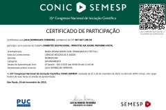 CONIC-2025-JULIA-DOMINGUES-FERREIRA-page-00001