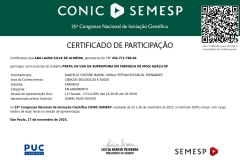 Certificado-CONIC-Ana-Laura-e-Daniel-page-00001