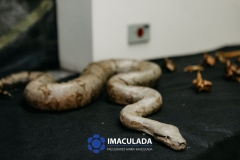M.Imaculada-113