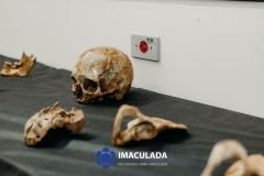 M.Imaculada-114