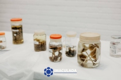 M.Imaculada-143