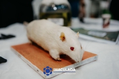 M.Imaculada-145