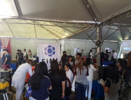 WhatsApp Image 2018-05-07 at 14.51.48