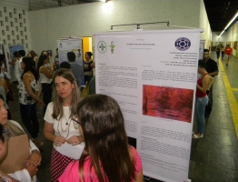 foto (12)