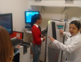 radiologia (34)