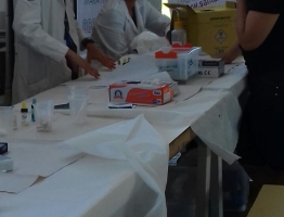 sou_mais_acao_estiva (11)